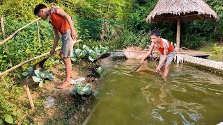 Today Hung fertilized vegetables and caught fish Clean vegetables and fresh fish every day [upl. by Aenneea769]