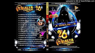 CelosGuinda  DJ FITU SALTA TROPICAL MIX VOL26 [upl. by Alahsal]