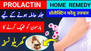 Prolactin Home Remedy To Get Pregnant Fast How To Lower Prolactin Level in Female Naturally [upl. by Laspisa]