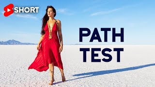 Path Test  Relational Psychology  Teal Swan [upl. by Eiramyllek]