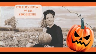 FARMA DYNIOWA W UK DYNIOBRANIEWYKRAWANIE DYNI MOJ ORYGINALNY POMYSLHALLOWEEN [upl. by Llerdna333]