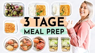 3 TAGE MEAL PREP  Rezepte zum Abnehmen 🍏proteinreich amp schnell [upl. by Ailana272]