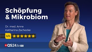 Mikrobiom und Menschsein  Dr Anne Katharina Zschocke  Der Sinn des Lebens  QS24 [upl. by Myrah175]