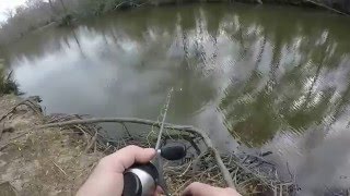 Stubblefield Lake  North End of Lake Conroe Bluegill Fishing Sam Houston National Forest [upl. by Nadabas]