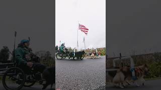 So proudly patriotically inspired when we MUSHed past this huge USA Flag PresidentialPetMuseum [upl. by Einaffets954]