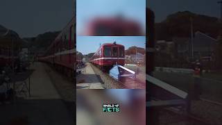 Buffer stops  to stop the uncontrolled train 🚂 shortsvideo facts train [upl. by Lissak492]