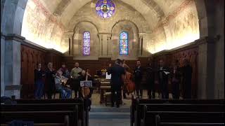 Collegium Musicum Lausanne Switzerland Baroque Opera 2019 Lutry Jonny Gee violone  baroque bass [upl. by Idham890]