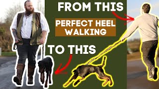 How To Teach Your Dog To Walk To Heel In Seconds [upl. by Tiebout682]