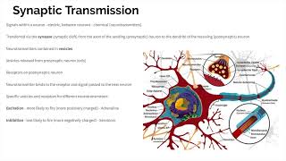 Biopsychology  Revision [upl. by Notrom]