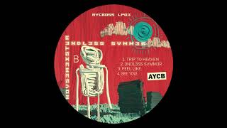 Housemeister  3NDL3SS SVMM3R AYCB055 [upl. by Weisman]