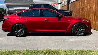 Ceramic Coated Infrared Tintcoat Cadillac CT5V Blackwing [upl. by Nohsreg]