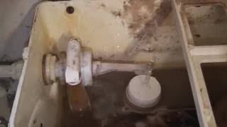 Dux cistern leaking and wasting water [upl. by Sherl371]