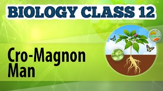 CroMagnon Man  Origin and Evolution of Life  Biology Class 12 [upl. by Uri]