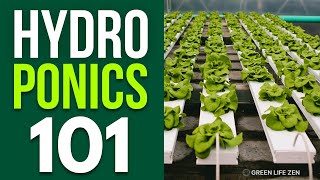 A Beginners Guide To Building A Small Hydroponics System For Your Home [upl. by Notyep931]