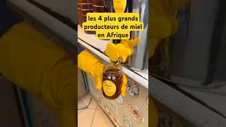 les 4 plus grands producteurs de miel en Afriquemielhoneyafriqueeuropefranceapicultureabeille [upl. by Butch627]