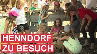 Ferienfreizeit der Gemeinde Henndorf zu Besuch auf Gut Aiderbichl [upl. by Cosmo]