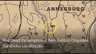 Red Dead Redemption 2 Item Exótico Orquídea Sapatinho Localização [upl. by Addy]