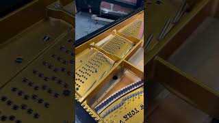 Steinway amp sons B rebuilding shortvideo shots viralvideo video violin america repair new [upl. by Anerec750]