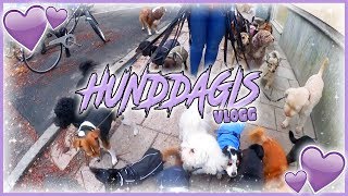 HUNDDAGIS amp BÖRJA DEJTA IGEN  Vlogg [upl. by Donal]