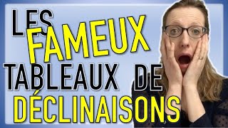 🇩🇪 Enfin comprendre les TABLEAUX de DECLINAISONS en allemand  😳 [upl. by Nauqad]