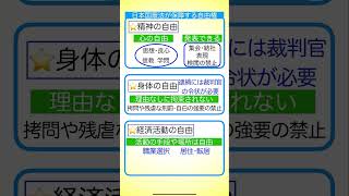 ベーシック公民 No13 自由権 基本的人権 自由権 精神の自由 身体の自由 経済活動の自由 公共の福祉 表現の自由 [upl. by Arvie875]