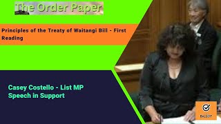 Casey Costello on the Principles of the Treaty of Waitangi Bill  First Reading [upl. by Lelah]