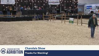 CWA 2024  Charolais Show Broadcast  Regina SK [upl. by Nnarual]