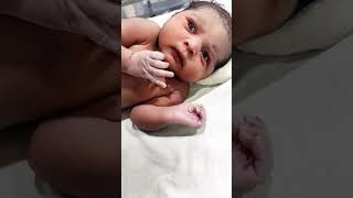 New born baby after birth moment cutebaby babyshorts [upl. by Colan]