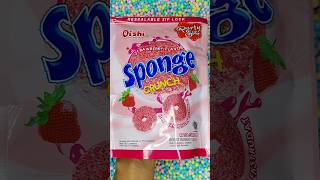 Satisfying ASMR Hunt for Sponge Crunch in Styrofoam Piles shorts asmrfood [upl. by Tersina584]