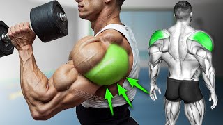 5 Best Rear Delt Exercise BOULDER SHOULDERS [upl. by Yruj841]