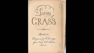 Canto de la tierra rodante Aves de paso procesión de BroadwayWalt Whitman [upl. by Alahc]