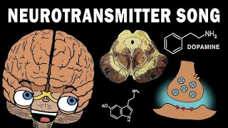 Physiology Neuroscience 1 Module  Neurotransmitters [upl. by Hoag]