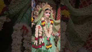 🗣️ 🙏🏼नई भक्ति रिंगटोन🌺🌿✨👣radharani song shortsfeedytshorts vrindavandham Viralshortstrending [upl. by Gaige]