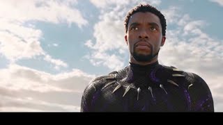 Chadwick Boseman” quotIm Not Deadquot Scene  Black Panther [upl. by Roselyn]