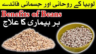 Lobia k faidy  beans benefits  lobia k fawaid in urdu  Mehrban Ali [upl. by Stace]