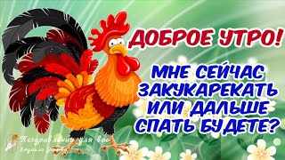 ☕️🍬 Бодренького утречка Лучшие пожелания Доброго Утра и Чудесного Дня Утренний позитив для друзей [upl. by Lebezej]