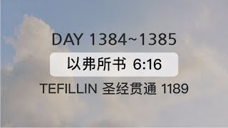 Tefillin Day 13841385 以弗所书 616 宣布圣经 50次 [upl. by Aelsel]