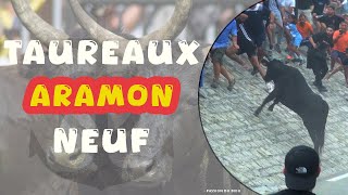 ARAMON Bandido Taureaux Neuf 303108amp01092024 🔥 [upl. by Drape]