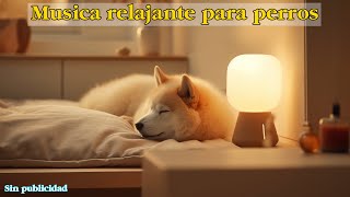 COMO DORMIR PERROS EN 5 MINUTOS Tranquilo y Profundo🐶 Música para DEJAR PERROS SOLOS EN CASA [upl. by Malita361]