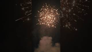 💥💥💥💥vrry big sky shot 2024 fireworks happydiwali happynewyear like diwali [upl. by Pownall164]