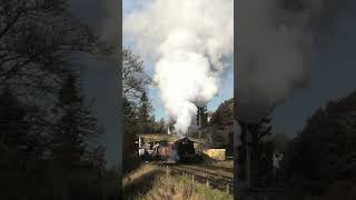 Single Chimney 9F 92134 departs Goathland with the mixed goods on the NYMR train steam [upl. by Akimot159]