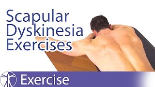 Best Scapular Dyskinesis  Dyskinesia Exercises [upl. by Annawaj]