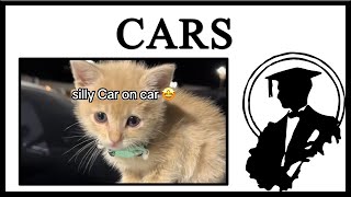 Why Are Cats Still Called Cars [upl. by Nesmat]