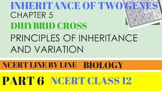 Part6 PRINCIPLES OF INHERITANCE AND VARIATIONDIHYBRID CROSS chapter5 NCERT class 12th Biology [upl. by Gean556]