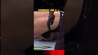 Khamzat Chimayev  The Wolf  UFC  Fight Highlights  Khamzat vs Whittekar trending newtopic [upl. by Annaitsirk296]