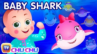 Baby Shark Song  Sing and Dance  Animal Songs for Children  ChuChu TV Nursery Rhymes amp Kids Songs [upl. by Wymore80]