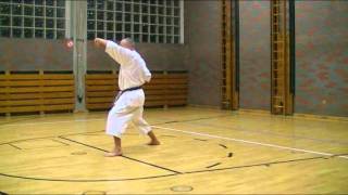 Kata Lexikon  Heian Shodan  langsam [upl. by Rez]