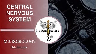 Lecture 2  Meningitis  P2  Microbiology CNS [upl. by Cob]