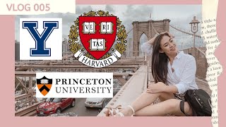 FREE HARVARD PRINCETON amp YALE ONLINE COURSES 🎓 stayhome amp Studywithme [upl. by Josee]