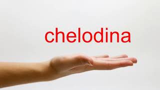 How to Pronounce chelodina  American English [upl. by Graig181]